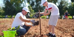 Invitan a plantar árboles nativos en Yaguarón