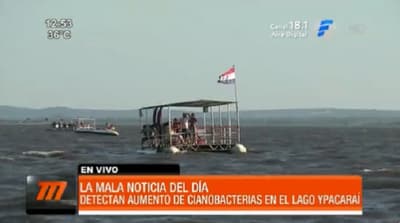 Detectan aumento de cianobacterias en el lago Ypacaraí