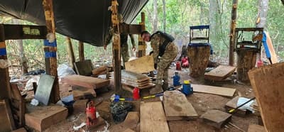 Operativo en Canindeyú desmantela base narco de USD 4,6 millones