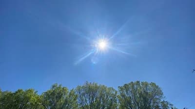 Meteorología anuncia sábado caluroso