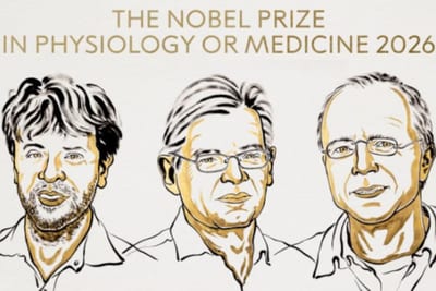 Nobel de Medicina 2026 premia avances para controlar neuronas con luz