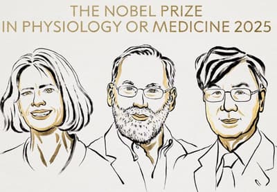 Nobel de Medicina 2025 reconoce avances contra la autoinmunidad