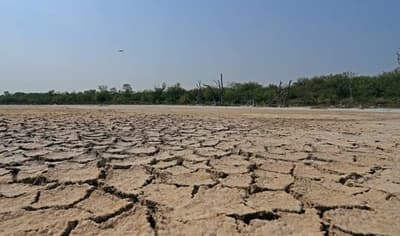 Comunidades indígenas del Bajo Chaco en crisis por escasez de agua