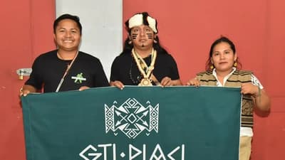 Denuncian reducción del territorio indígena y deforestación en el Chaco