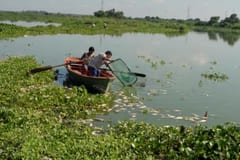 Niño muere tras caer a una laguna en Tablada Nueva
