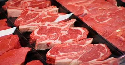 Paraguay’s Meat Exports Hit Record Numbers in January 2025