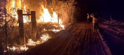 INFONA alerta que caso Chovoreca avanza hacia la impunidad