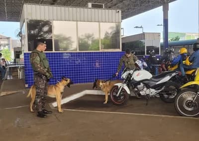 Brasil despliega Ejército en fronteras con Paraguay y Argentina para frenar crimen transfronterizo