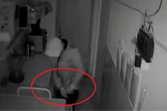 Exempleado fue detenido por supuesto hurto en heladería