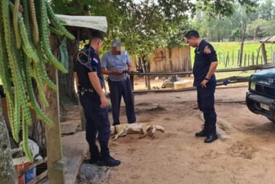 Matan de un disparo a un perro y buscan al autor