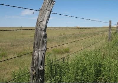 Niño fallece tras tocar cerco eléctrico
