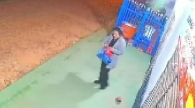 Mujer sufrió violento asalto en San Antonio: “Intentó apuñalarme varias veces”