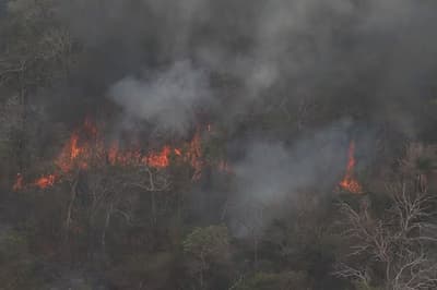 Reactivación del incendio en el Monumento Cerro Chovoreca