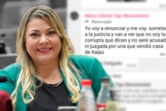 Zenaida Delgado dejará su banca en el Senado