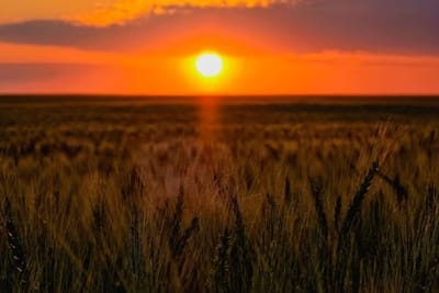 Vientos de hasta 90 km/h y calor persistirán en gran parte del país