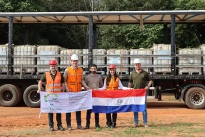 Resina de pino: Paraguay concreta su primer envío al mercado brasileño