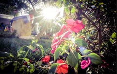 Temperaturas subirán hasta 37 °C en Asunción