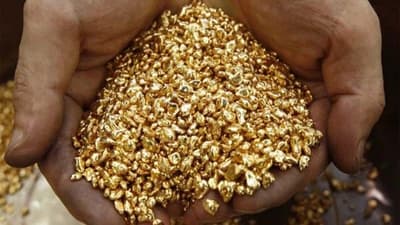 Paraguay Shines with Gold: Exports Reach Record Numbers