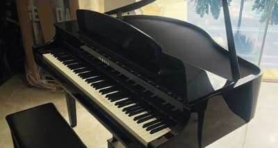 Senabico subastará bienes desde: un piano hasta inmuebles