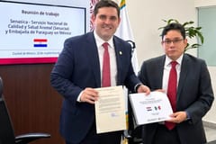Paraguay avanza para exportar carne bovina a México