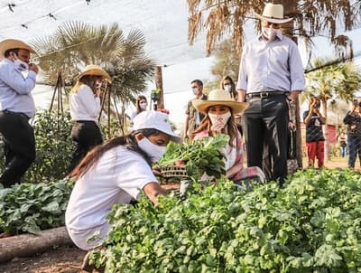Programa beneficiará a unas 5.500 familias vulnerables