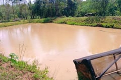 Tragedia en Itapúa: buscó a su hijo de 2 años y lo halló flotando en un estanque