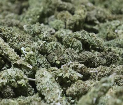 Paraguay Exports Industrial Cannabis Flowers to Switzerland for the First Time