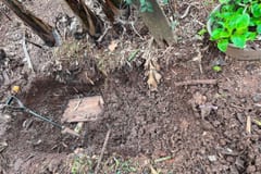 Hallan muerta a adolescente desaparecida tras varios días de búsqueda en Caazapá