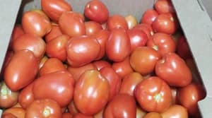 Suben precios del tomate, queso y huevo