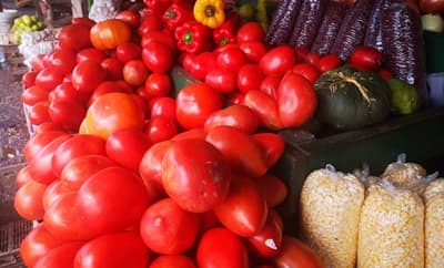 Precio del tomate está por las nubes