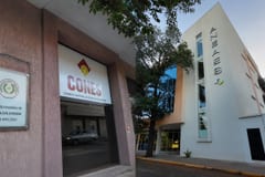 Crisis por títulos falsos: Analizan unificar el CONES y la ANEAES en un solo organismo