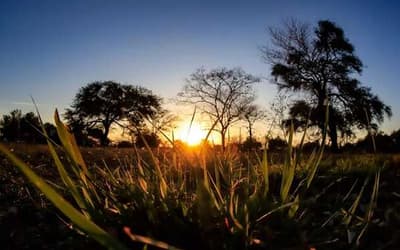 Lunes caluroso y sin lluvias en todo el país