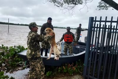 ExBuen Pastor será refugio de animales por inundaciones