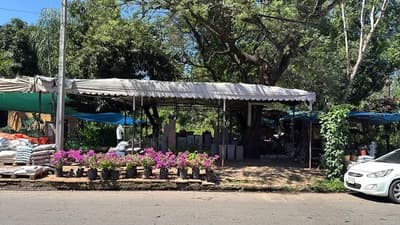 Floristas frenan intento de desalojo del IPS