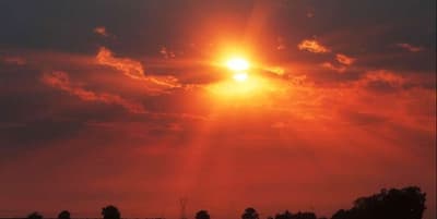 Viernes caluroso, húmedo y soleado, con una máxima de 39 °C