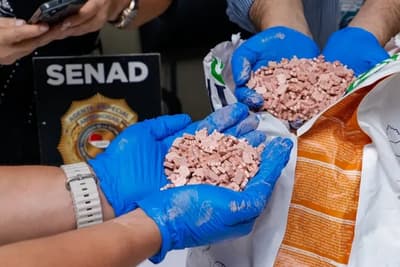 Éxtasis oculto en comida de animales: incautadas miles de pastillas