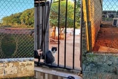 Alarma por fuga de dos reos de alta peligrosidad en Misiones