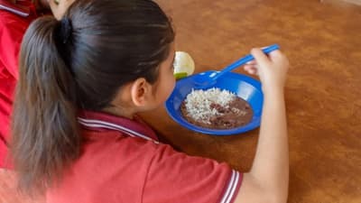 Hambre Cero: 75 denuncias en su primera semana