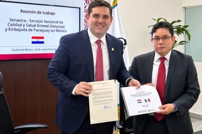 Paraguay avanza para exportar carne bovina a México