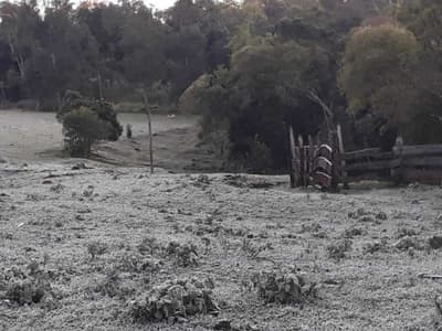 Temperaturas en alza y escarchas al amanecer
