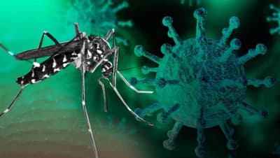 Confirman cinco casos de “Covidengue”, uno resultó fatal