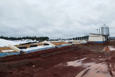 Meteorología analiza si hubo un tornado en Caaguazú