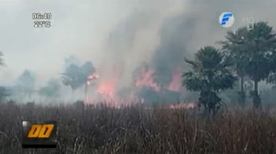 Piden conciencia para evitar ola de incendios forestales