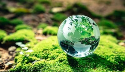 Día Mundial del Medio Ambiente llama a la acción climática