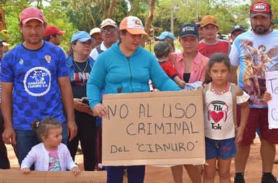 Extracción de oro con cianuro despierta preocupaciones ambientales en Paso Yobái