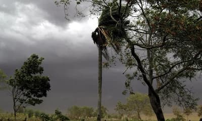 Lluvias y tormentas marcan el domingo en gran parte del país