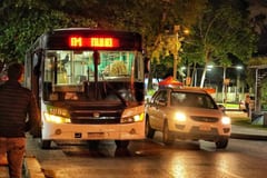 Red Búho registra más de 341.000 viajes, con mayor demanda de noche y los fines de semana