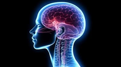 Estudio revela potencial de rejuvenecimiento cerebral