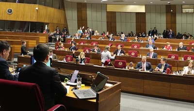 Nuevo vacío de alianza en el Senado