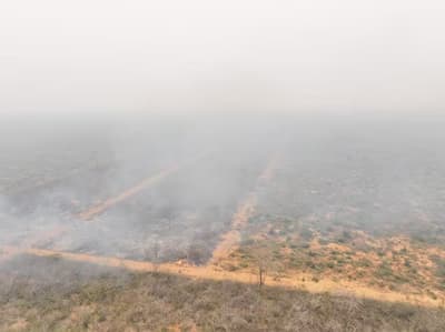 Incendios devastan 14.000 hectáreas de comunidad Chovoreca